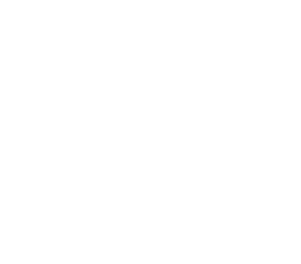 94,3 rs2